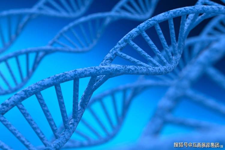 生物基材料,生物能源,环境修复等创新产品与解决方案;核心技术展区